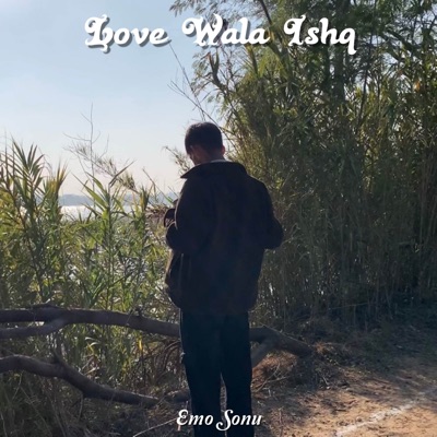 Love Wala Ishq (Lofi) - Single