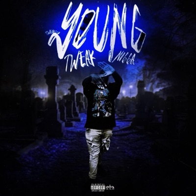 YTN