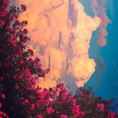 De Enero A Enero - Single