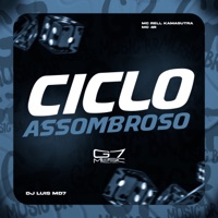 Ciclo Assombroso (feat. Mc Rell Kamasutra) - Single - DJ Luis MD7 & Mc 4R
