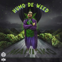 Humo de Weed - Single - Maniako