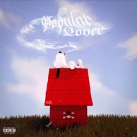 Popular Loner - Saint12