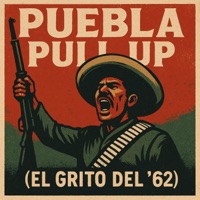 PUEBLA PULL UP