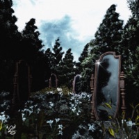 RIFLESSI - Single - Dimawhite