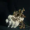 Dead Meat