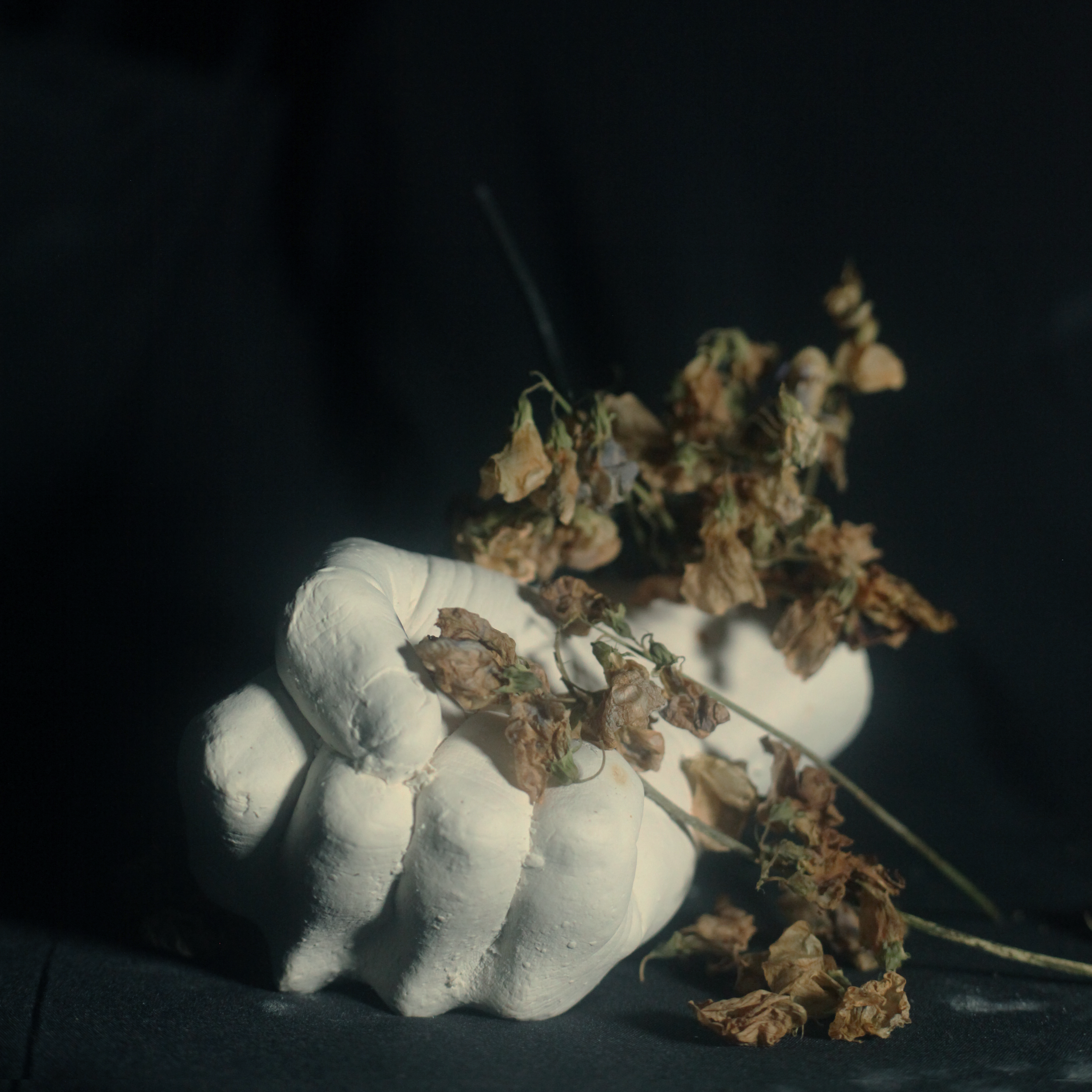 Dead Meat (feat. Birds in Row & Quentin Sauvé) - Single