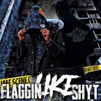 Flaggin Like Shyt (feat. Leakionn) - Single - BoGleesh