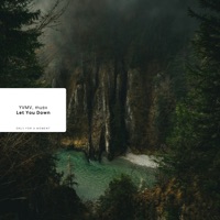 Let You Down - Single - YVMV & MUSV