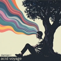 Acid Voyage