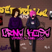 Crna kosa (feat. Pink Luu) - Single - ASTRO