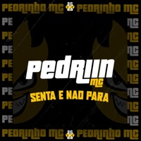 Senta e Não Para - Single - Pedriin Mc & Biel Rocha