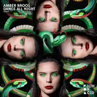 Dance All Night — AMBER BROOS