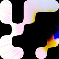 Delight - Single - Loforia