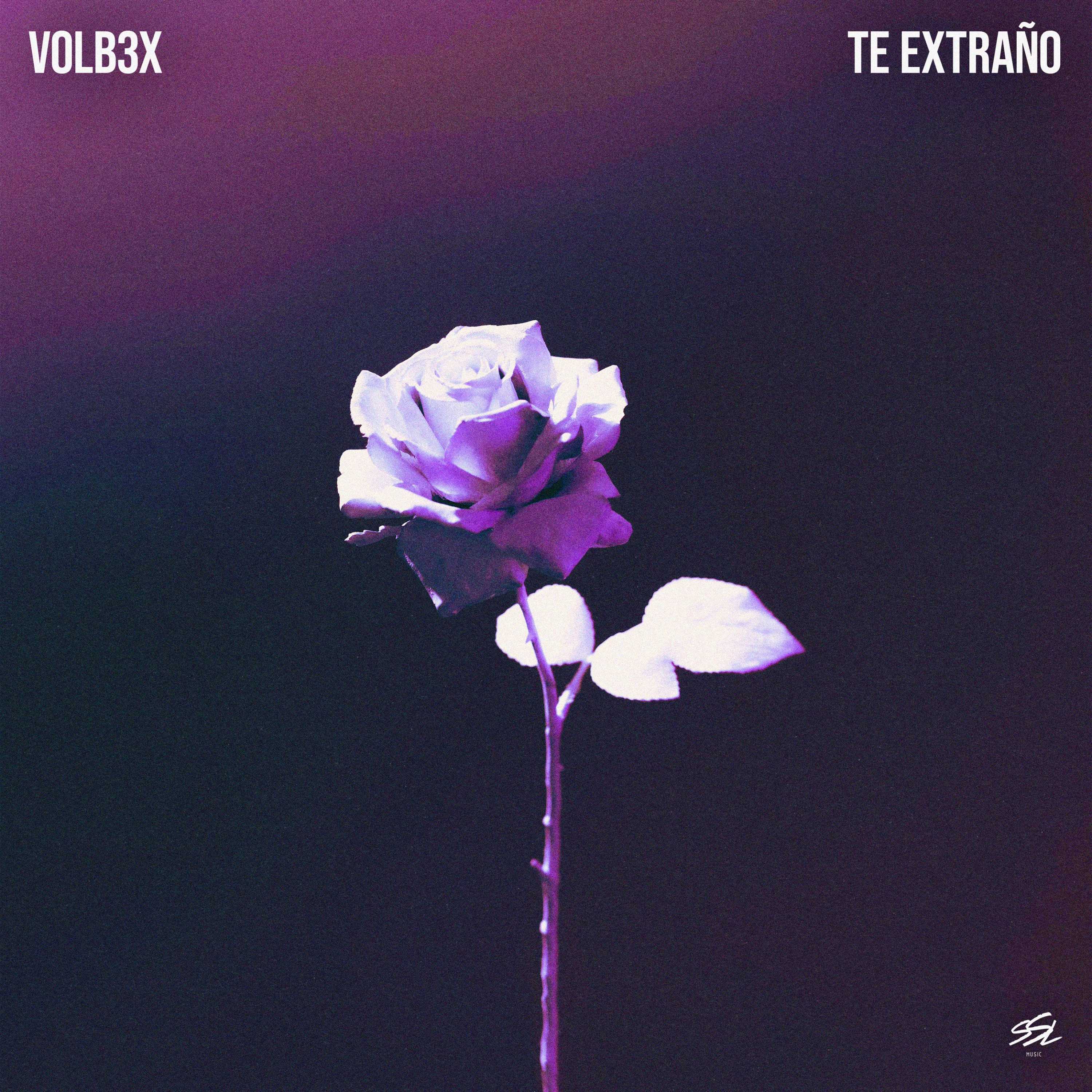 Te Extraño - Single