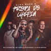 Elas Quer a Tropa do Chefin (feat. DJ LC do Martins) - Single