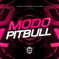Modo Pitbull - Single - Dj Eryy Detona, Mc Mary Maii & Ari Falcão