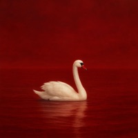 Sextape Capítulo II - Kidd Sasaki & Yunathe