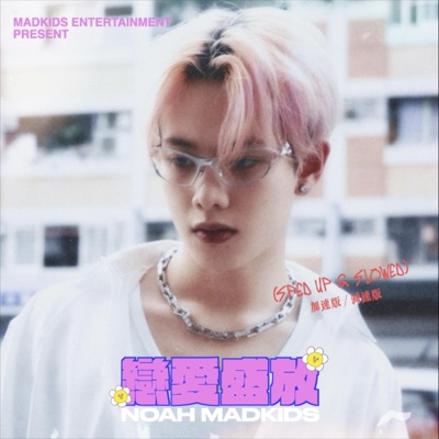 戀愛盛放 - Single