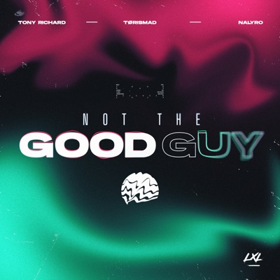 Not The Good Guy - Single