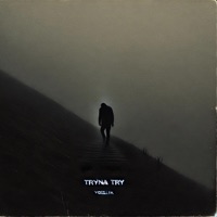 Tryna Try - Single - Yoell1k