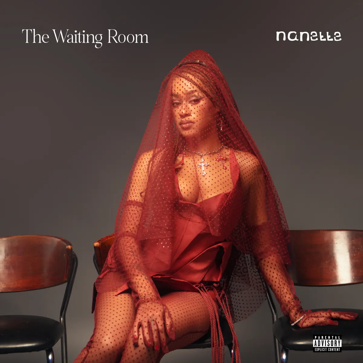 Nanette - The Waiting Room (2024) [iTunes Plus AAC M4A]-新房子