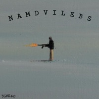 Namdvilebs - Single - Jgarko