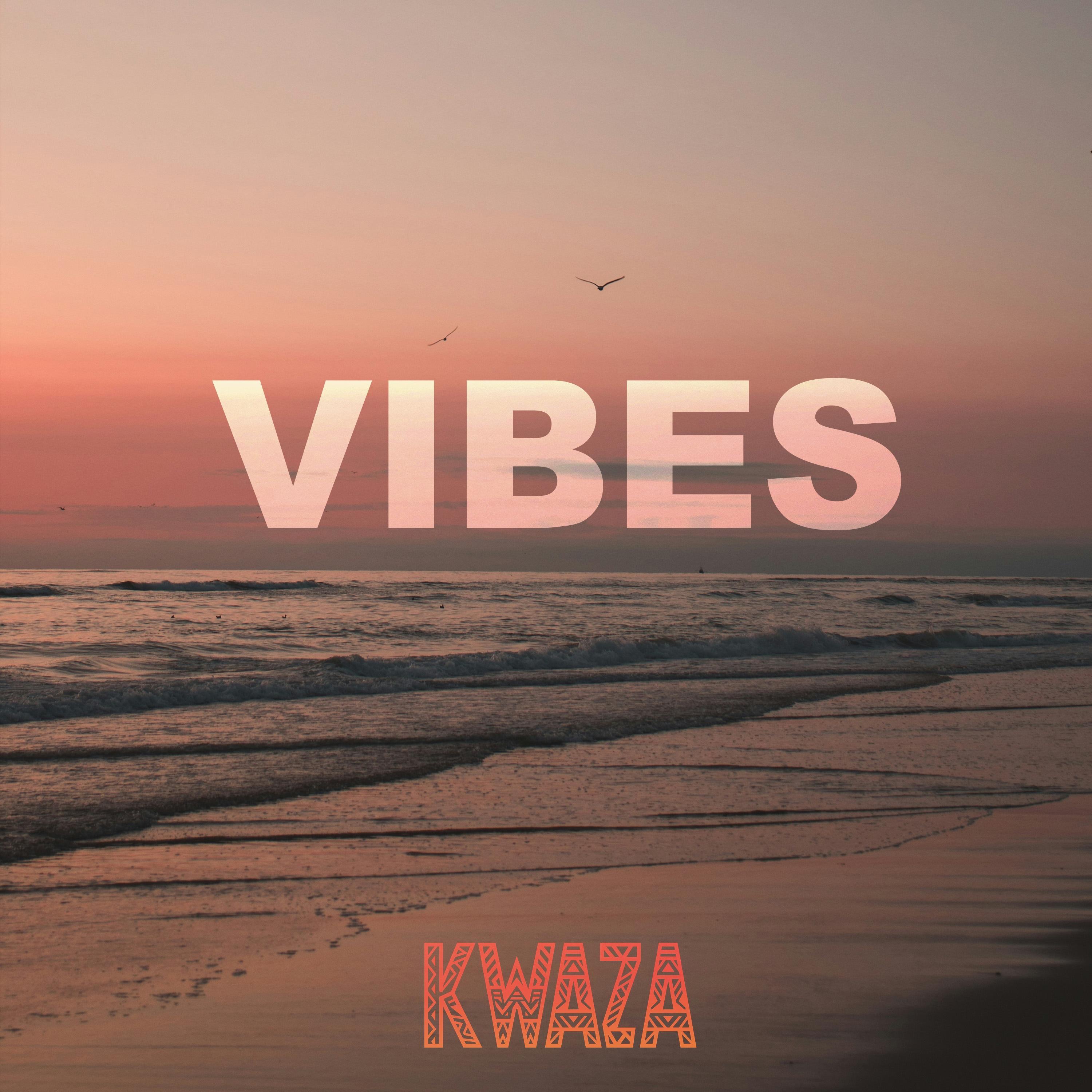 Vibes (Li Li) - Single