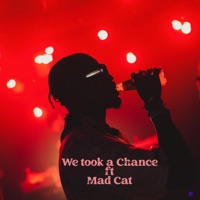 We took a chance (feat. Mad Cat) [Radio Edit] - Single - Streys De DJ