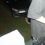 Xen Garden - New Normal