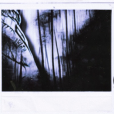 Thief In The Night - Single