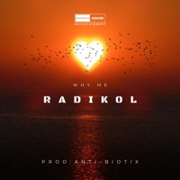 Why Me - Single - Radikol