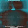 Falling Into Acid Dreams