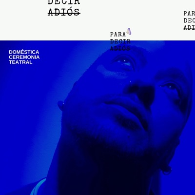 Para decir adiós (feat. Fabricio Pérez) - Single