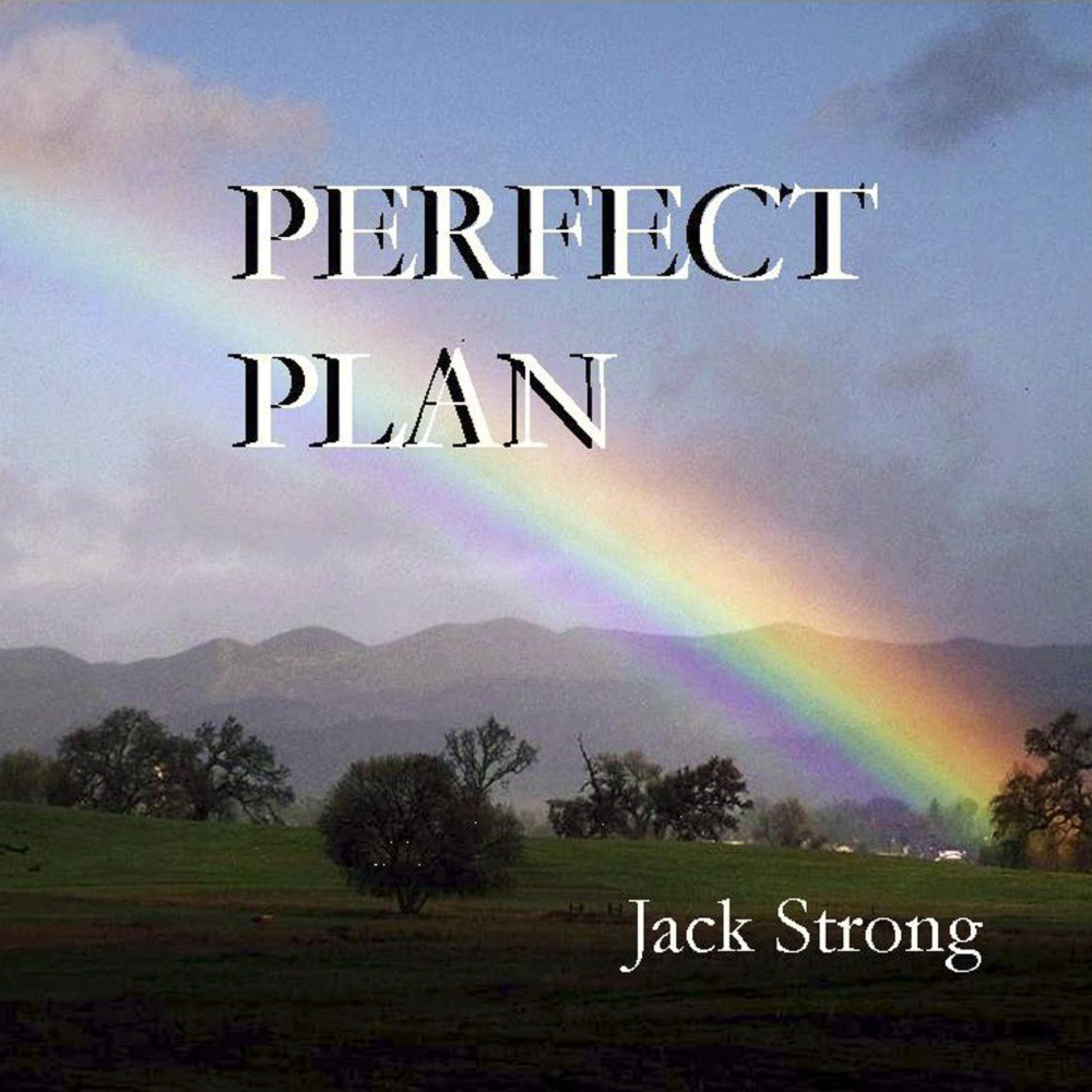 Perfect Plan