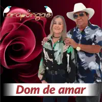 Dom de Amar — Os Arapongas