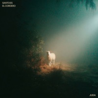 Santo Es El Cordero - Single - JUDÁ