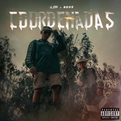 COORDENADAS - Single