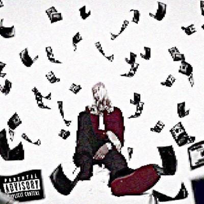 Money counter - Single