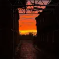You Lost My Love