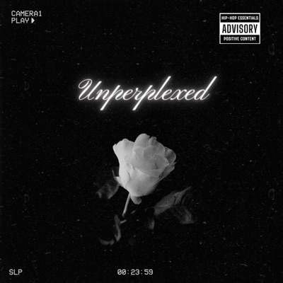 Unperplexed (feat. Alias Steppa) - Single