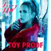 Toy Proof