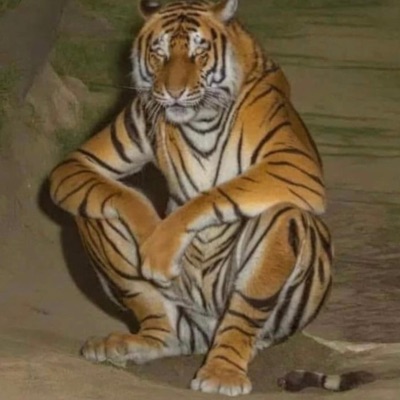 Dame un poco de eso - Single