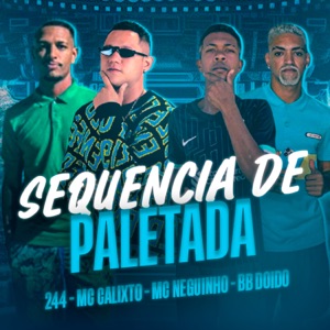 Sequencia de Paletada