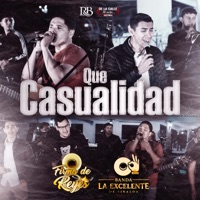 Que Casualidad - Single - Firma De Reyes & Banda la Excelente de Sinaloa
