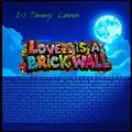Love Is A Brick Wall