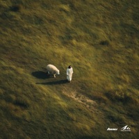 Worth It - Single - PolynesianEverything