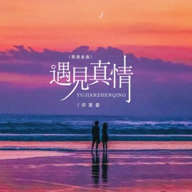 遇见真情 (粤语金曲) Jiahao Xu