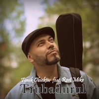 Trubadurul (feat. Rost Mike) [Radio Edit] - Single - Tonik Obiektiv