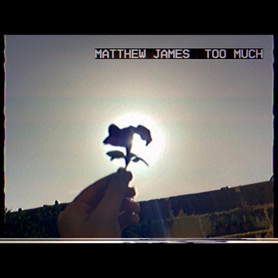 Too Much - Single