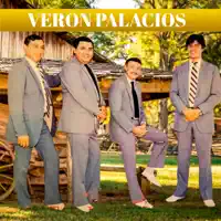Recordando a Concepcion — Verón Palacios